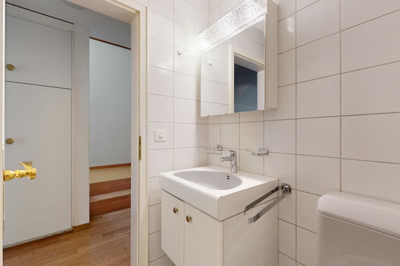 Grosszügige Maisonettewohnung sucht neue Mieter! (10)