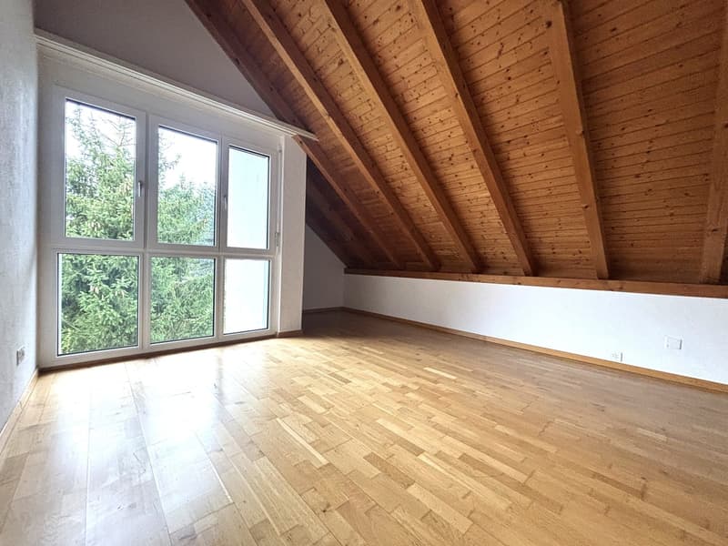 Ampio appartamento maisonette cerca nuovi inquilini (5)