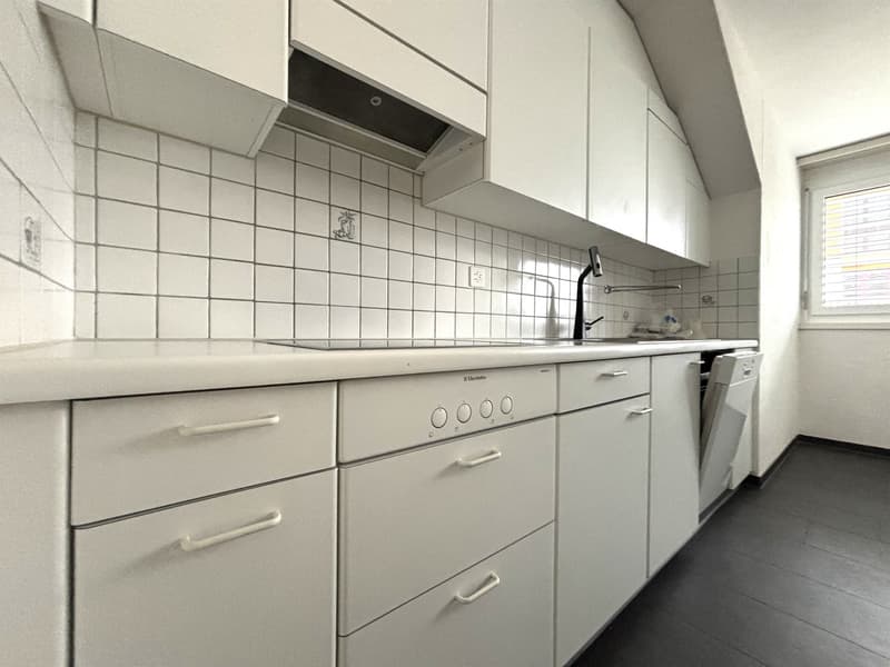 Ampio appartamento maisonette cerca nuovi inquilini (8)