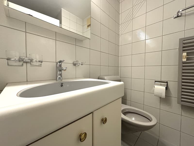 Ampio appartamento maisonette cerca nuovi inquilini (9)