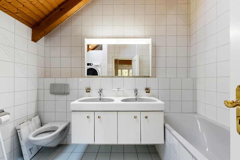 Grosszügige Maisonettewohnung sucht neue Mieter! (9)