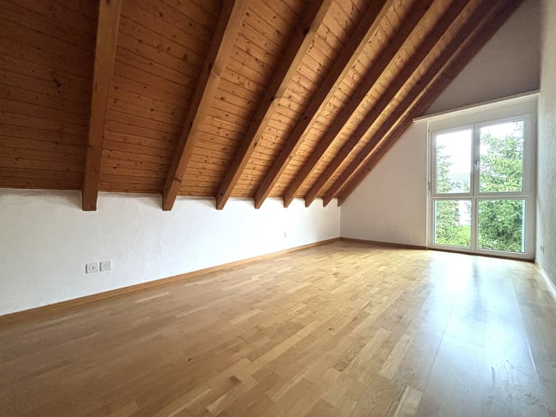Ampio appartamento maisonette cerca nuovi inquilini (6)