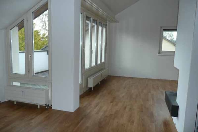 Appartement en attique lumineux avec deux terrasses ! - Limité jusqu'au 30.06.2027 (3)