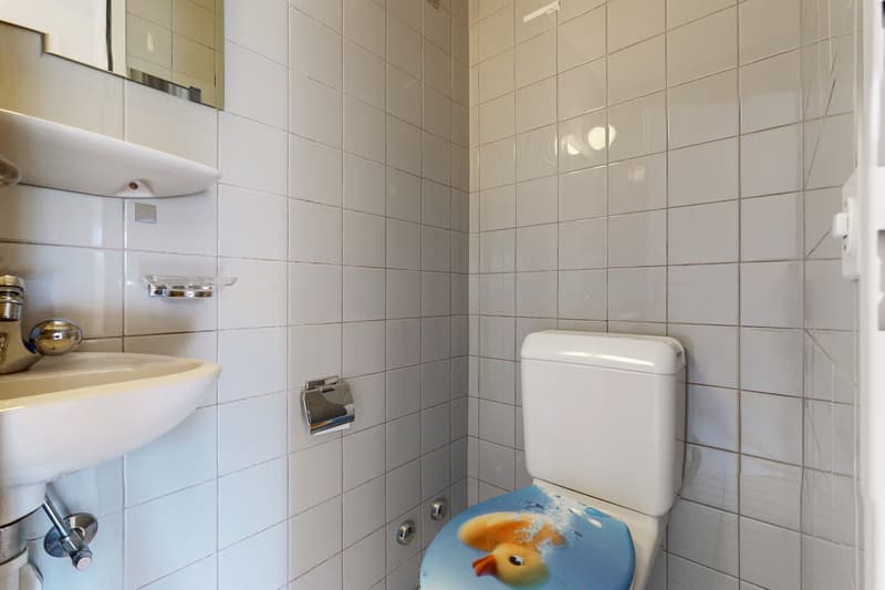 Ruhig schlafen und in 3 Minuten beim Trämli... (9)