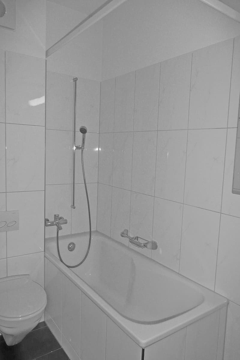 Genial apartment in a wonderfully beautiful location (6)