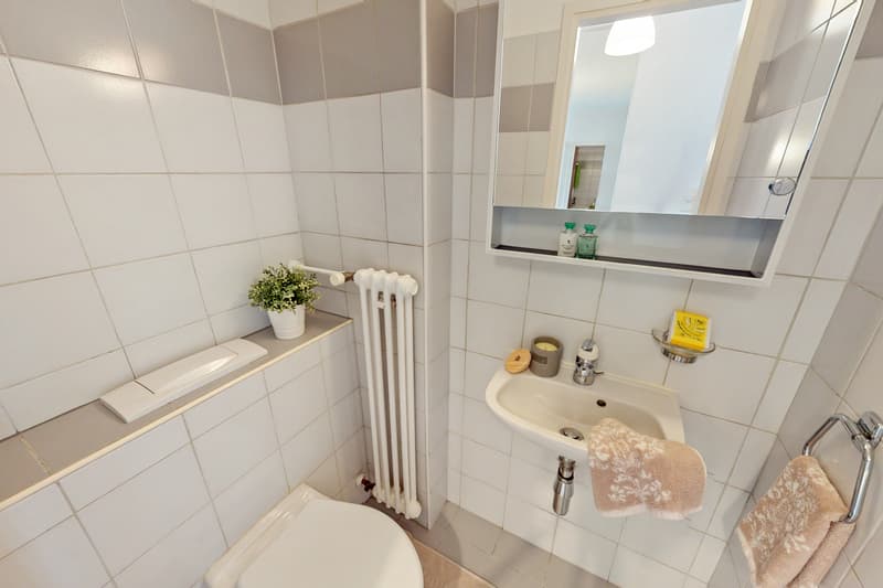 Ein helles Haus, in dem Komfort und Praktikabilität sich treffen (11)