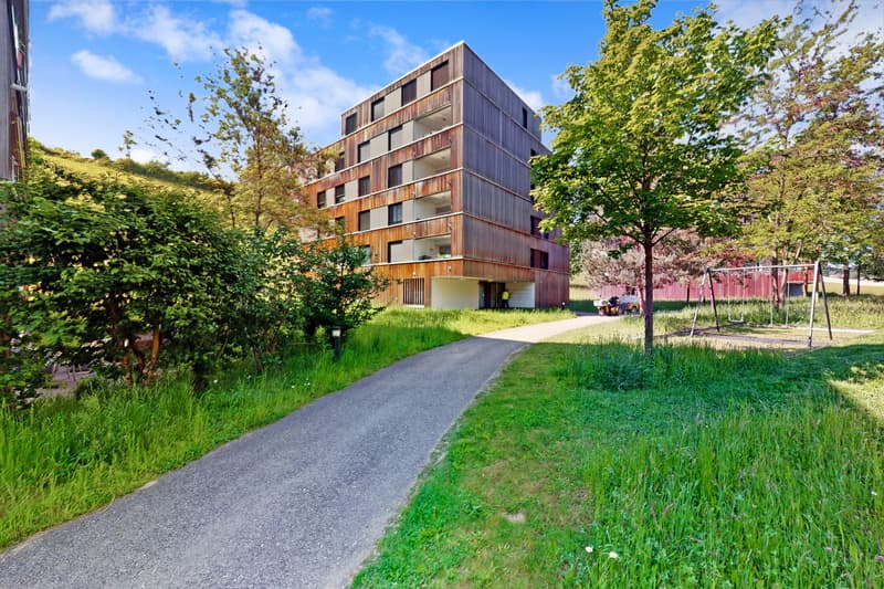 Private Attika-Terrasse gesucht? 4.5-Zimmerwohnung in Burgdorf (2)
