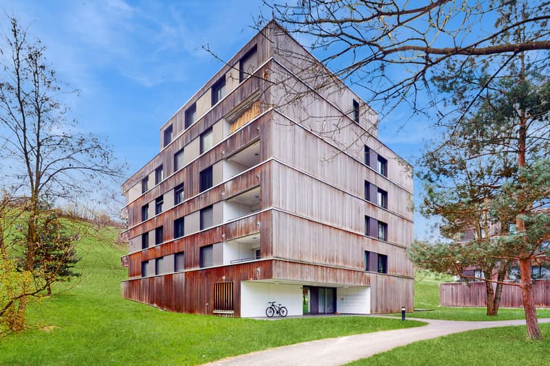 Private Attika-Terrasse gesucht? 4.5-Zimmerwohnung in Burgdorf (1)