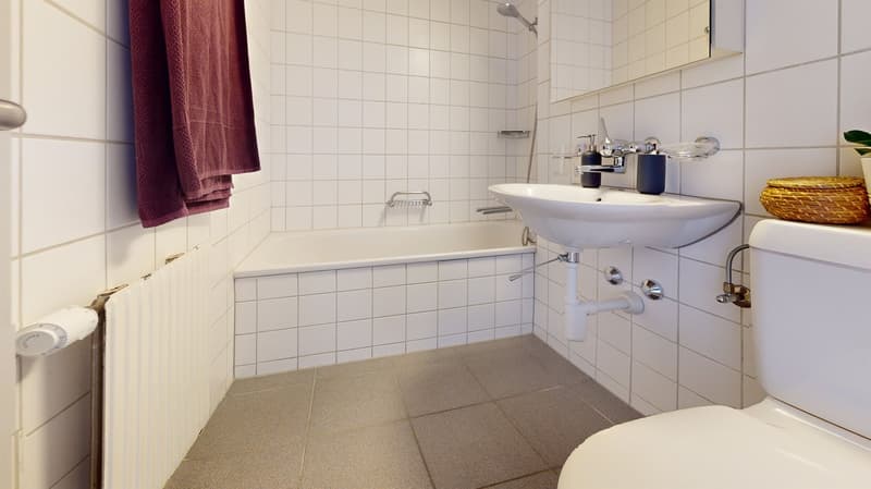 A quaranta passi dalla stazione di Solothurn-Ovest! (7)