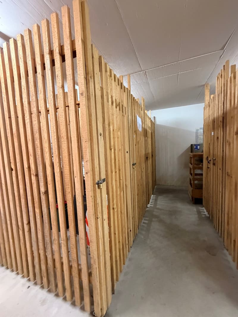 Kellerabteile als Lagerflächen zu vermieten (2)
