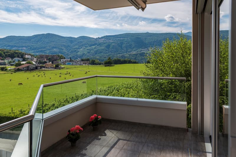 Bright apartment in quiet and sunny area in Massagno (5)