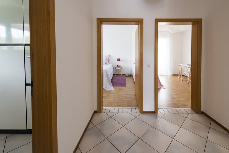 Bright apartment in quiet and sunny area in Massagno (2)
