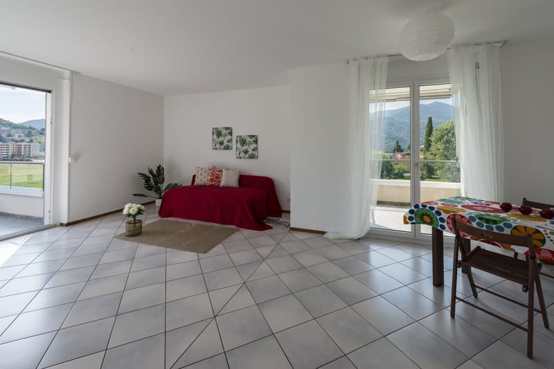 Bright apartment in quiet and sunny area in Massagno (4)