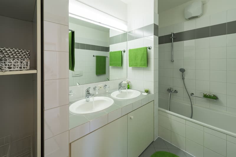 Bright apartment in quiet and sunny area in Massagno (8)