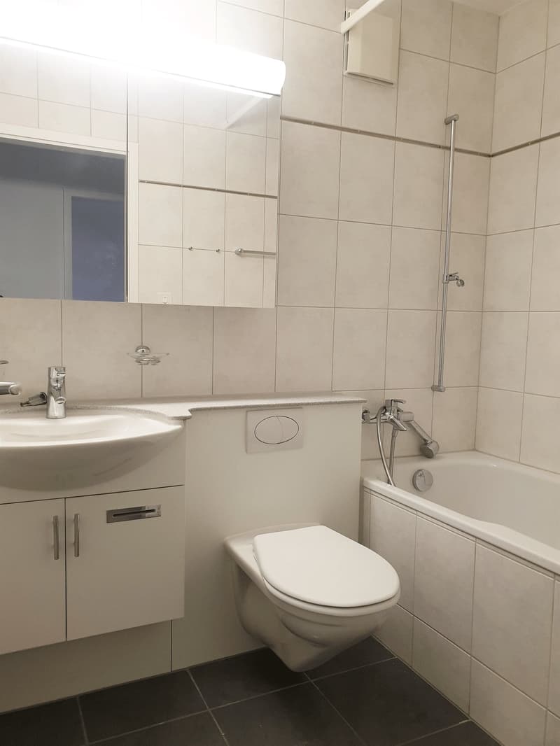 Rent without deposit, charming apartment in a quiet location! (6)