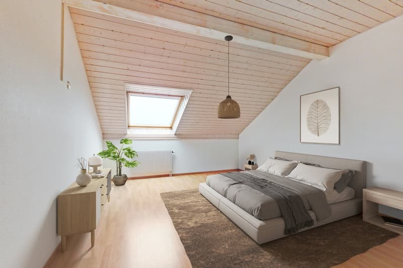 Magnifique duplex dans le bourg d'Echallens ! (8)