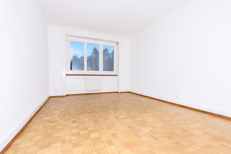 Close to the university in Fribourg - Fixed-term contract until 31.03.2027 (4)