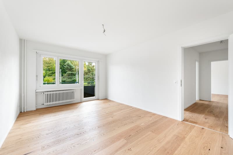 The perfect apartment near Irchelpark - freshly renovated! (3)