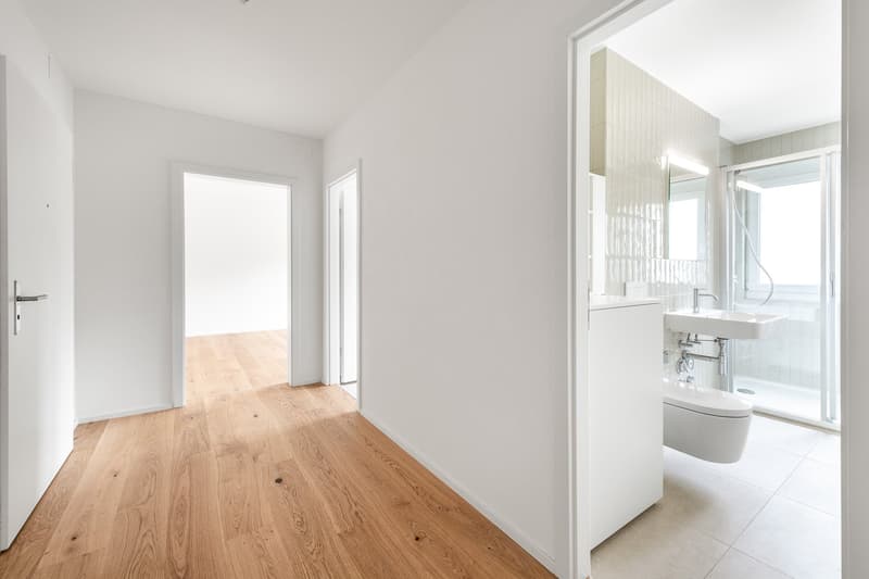 The perfect apartment near Irchelpark - freshly renovated! (5)