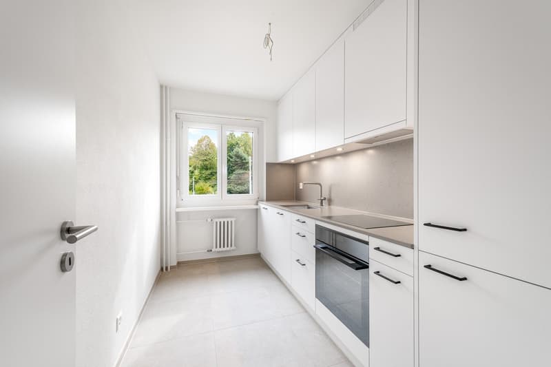 The perfect apartment near Irchelpark - freshly renovated! (6)