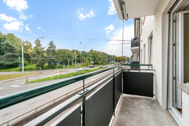 The perfect apartment near Irchelpark - freshly renovated! (4)