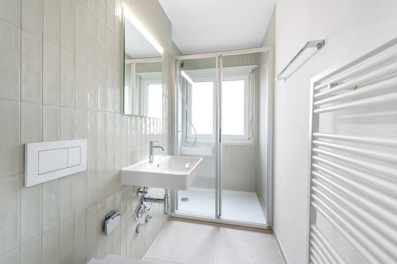 The perfect apartment near Irchelpark - freshly renovated! (7)