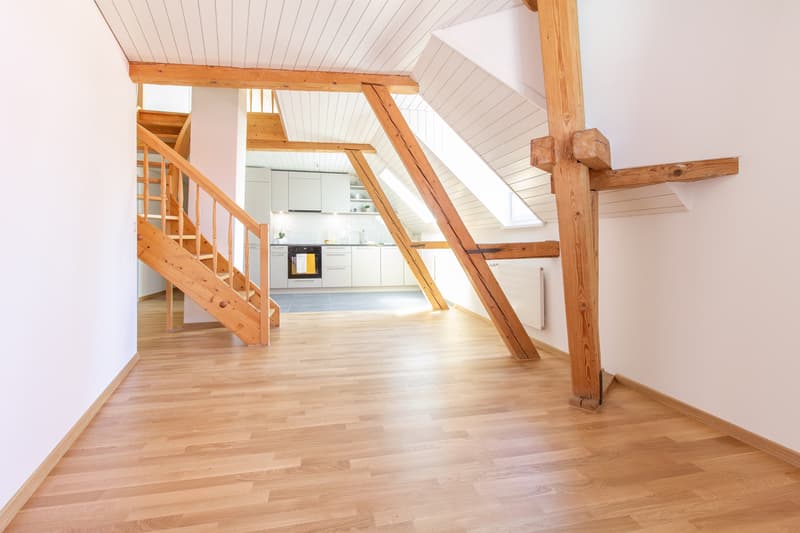 Einmalige Maisonettewohnung mit toller Dachterrasse (4)