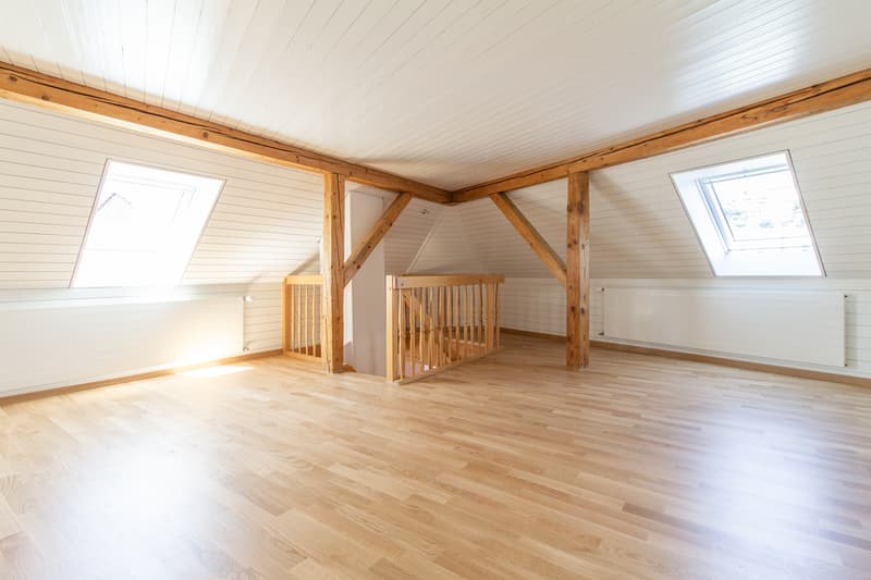 Einmalige Maisonettewohnung mit toller Dachterrasse (6)