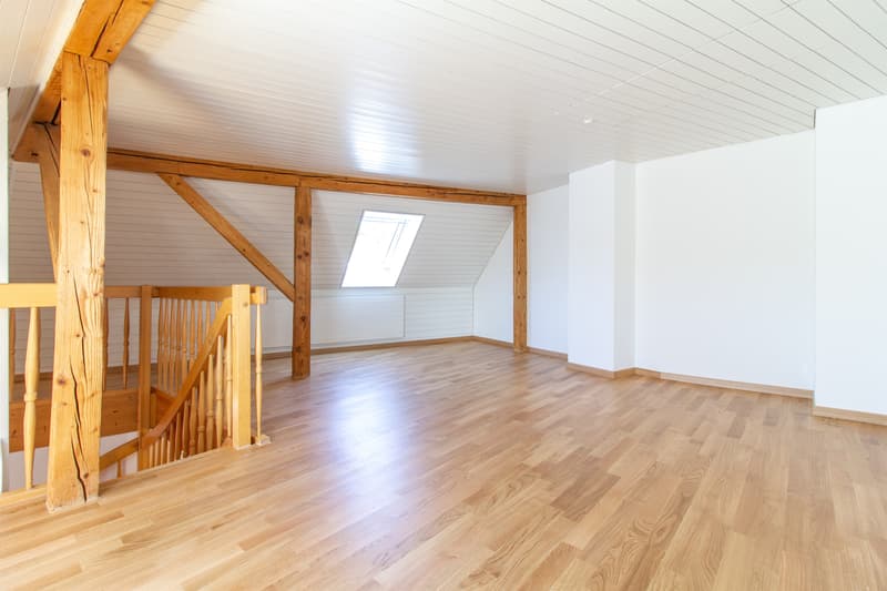 Einmalige Maisonettewohnung mit toller Dachterrasse (7)