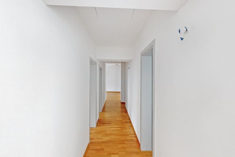 5 Zimmer in einem historischen Gebäude im Herzen von Lugano (12)