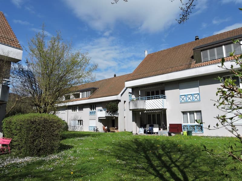 Place de stationnement à louer à Sissach ! (1)