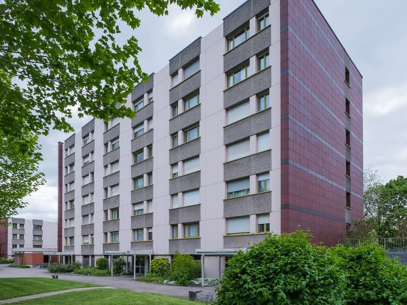 Vivre dans un quartier résidentiel populaire de Muttenz ! (1)