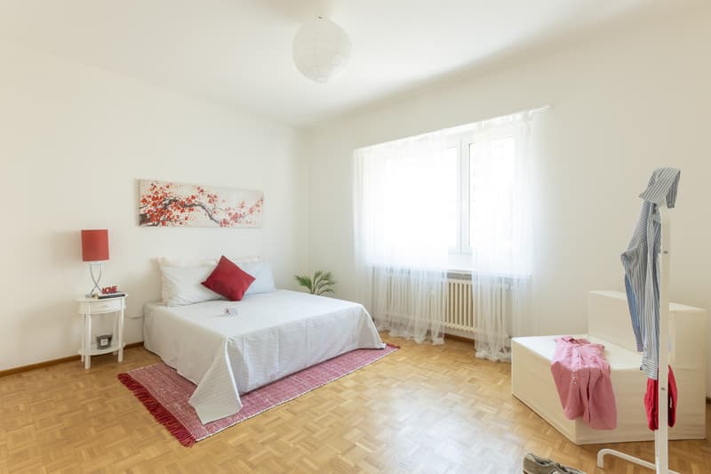 Solution moderne et bien reliée au cœur de Massagno (8)