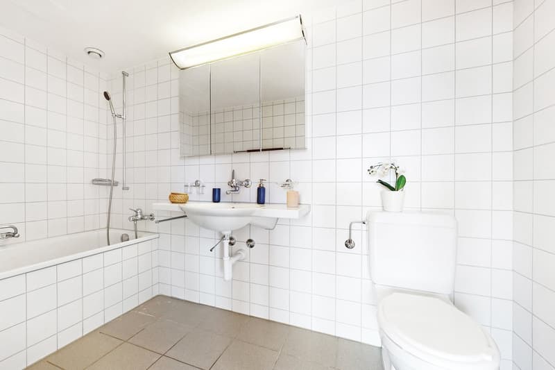Maisonnette idéale pour les navetteurs ou les grands voyageurs ! (7)