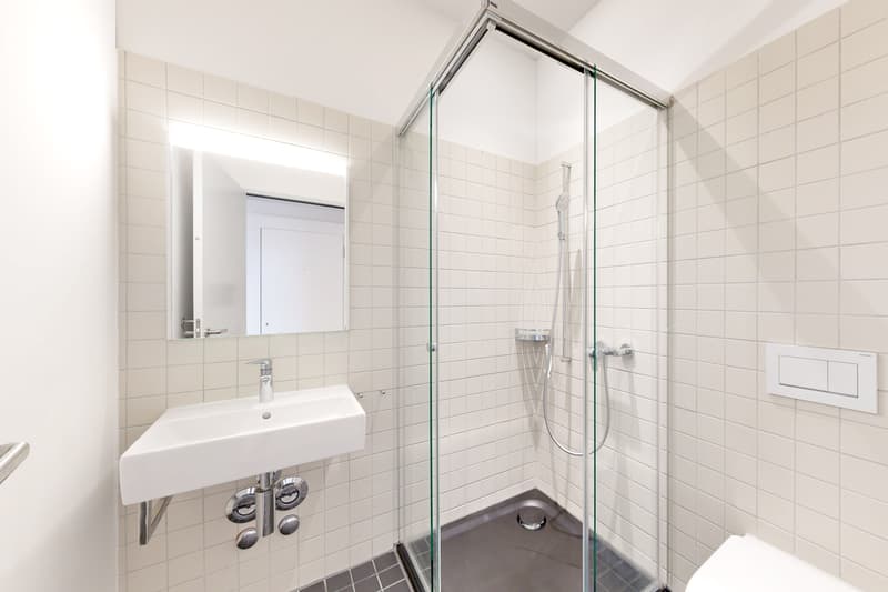 Wohnen im obersten Stock mit Sicht über Zürich (8)
