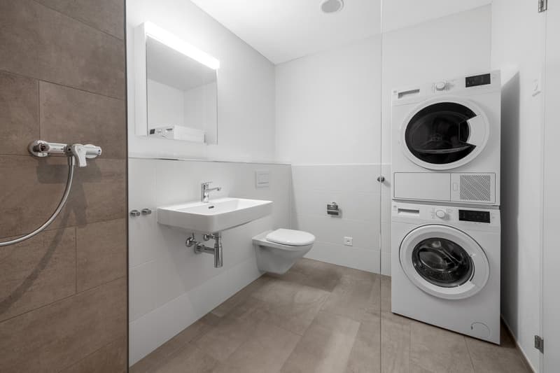 Moderne Wohnung in der Stahlgiesserei, Schaffhausen (6)