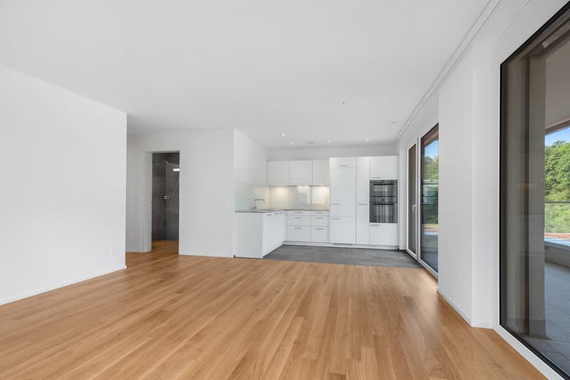 Moderne Wohnung in der Stahlgiesserei, Schaffhausen (3)