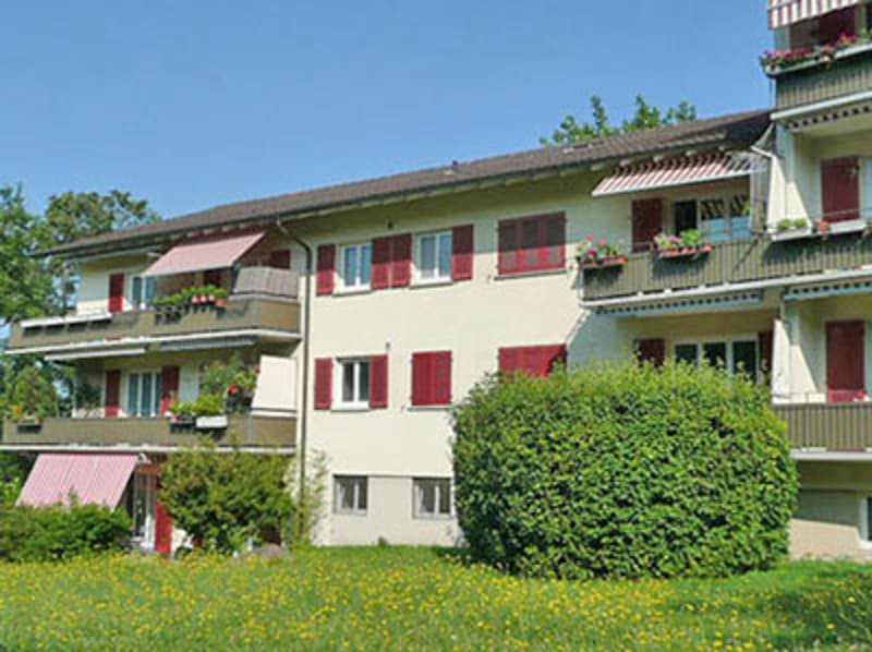Wohnung nahe vom Zentrum von Zürich-Witikon- befristet bis 31.01.2028 (1)