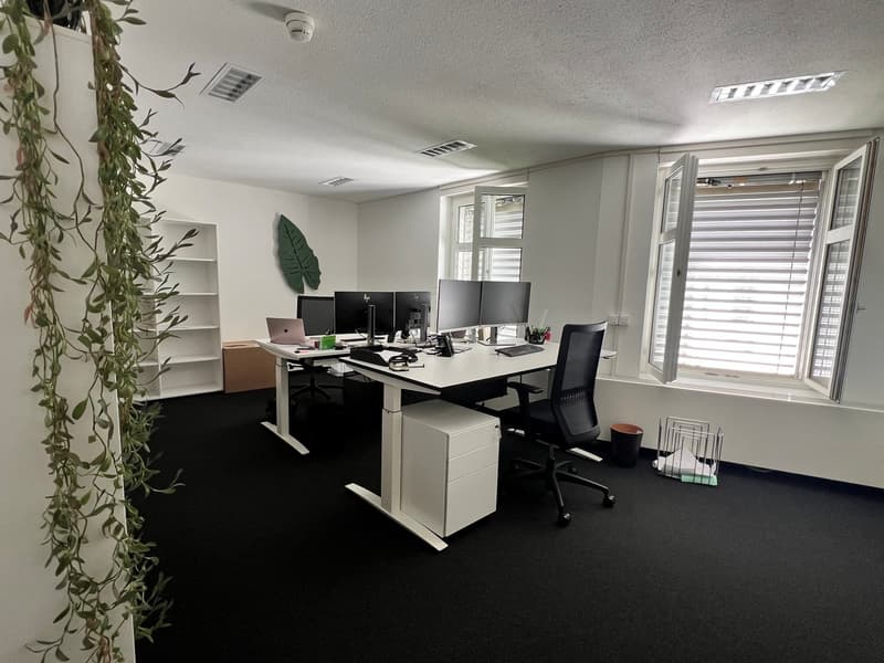 Great opportunity - spacious premises in an extremely central location! (2)