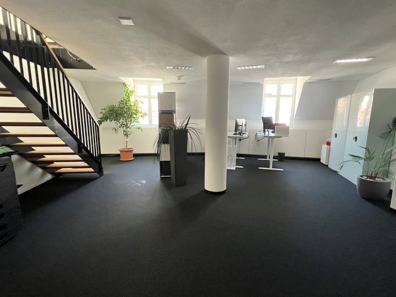 Great opportunity - spacious premises in an extremely central location! (3)