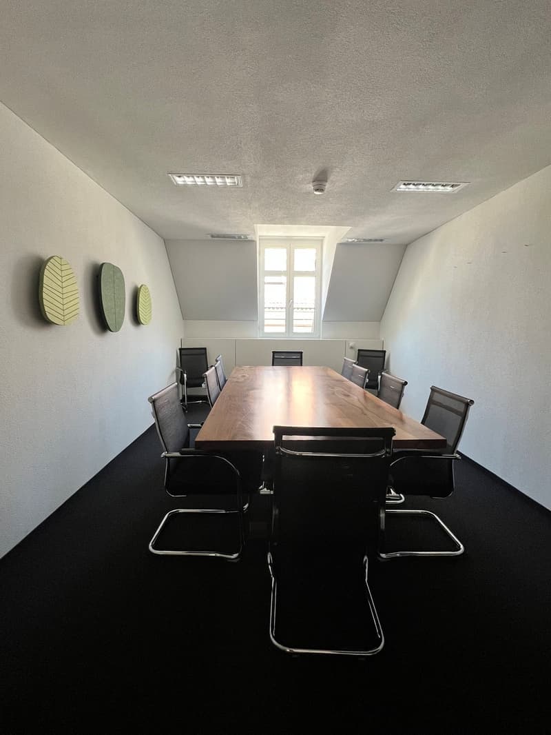 Great opportunity - spacious premises in an extremely central location! (5)