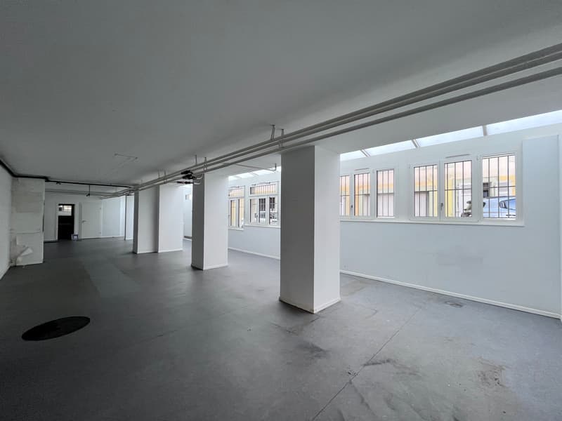 Développez votre activité dans cette surface au cur de Genève! (7)