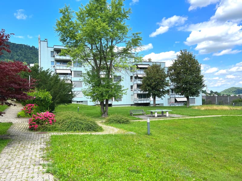 Appartement ensoleillé et attractif de 3,5 pièces (1)
