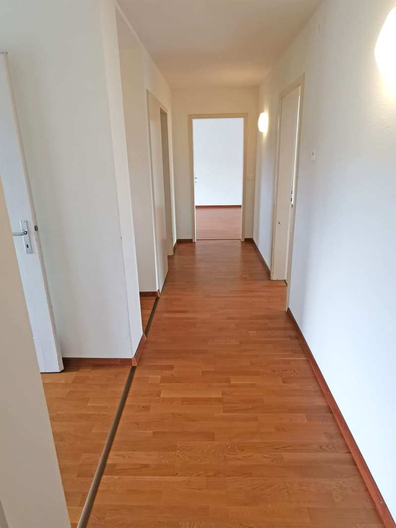 Appartamento di 4,5 locali tranquillo in affitto (4)