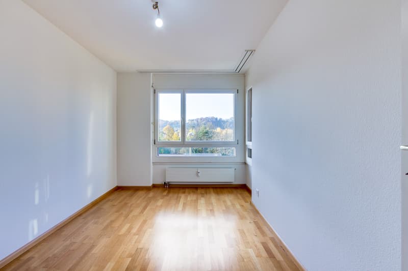 Beautiful view in a sun-kissed property!!! (9)