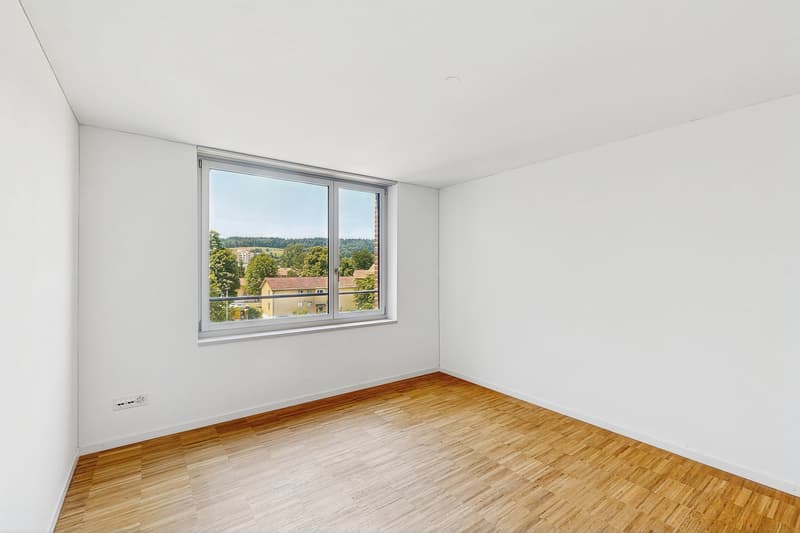 Modern apartment in Regensdorf (5)