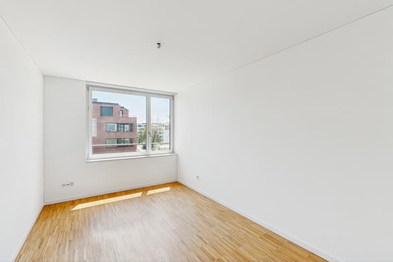 Modern apartment in Regensdorf (4)