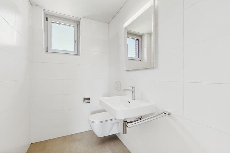 Modern apartment in Regensdorf (9)