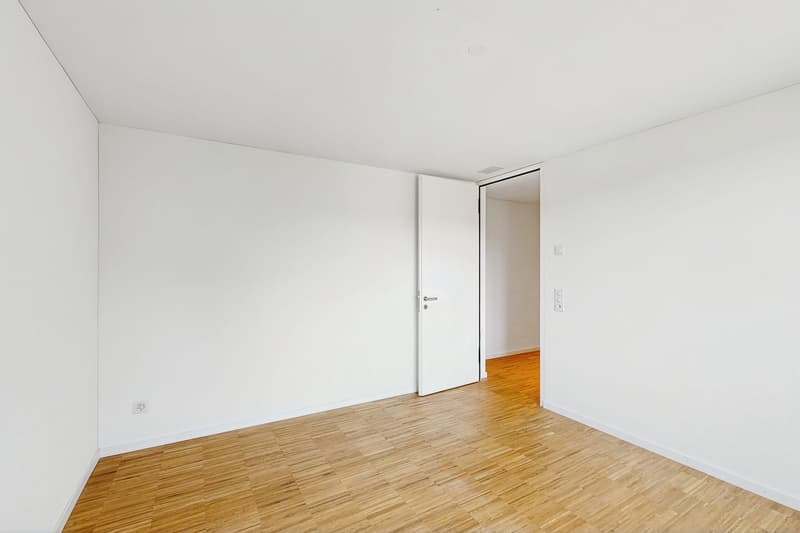 Modern apartment in Regensdorf (6)