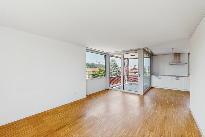 Modern apartment in Regensdorf (3)